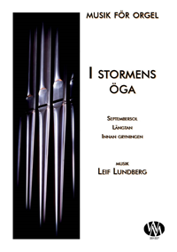 I stormens öga